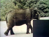 Slidepuzzle.Elephant.jpg