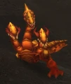 Parched Hydra.jpg