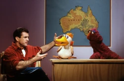 Melgibson-australia
