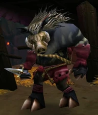 Image of Aggem Thorncurse