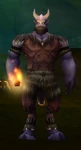 Wyrmcult Hunter