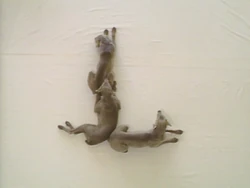 Wegmandogs.L