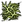 Substances Green mold