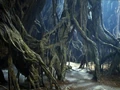 Gnarltree btm.jpg