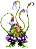 Ochu