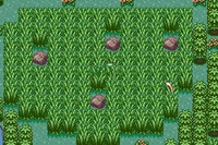Mew en Isla Suprema (jugando)