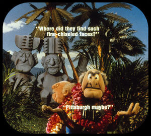 VMhawaii-b7