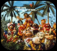 VMhawaii-c4