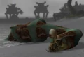 Beached Sea Creature.jpg