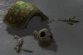 Beached Sea Turtle.jpg