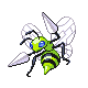 Beedrill DP variocolor