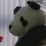 Mini-panda.jpg