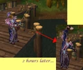 Thumbnail for version as of 15:21, March 27, 2008