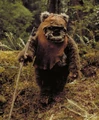 Wicket rotj.jpg