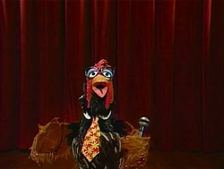 Roostercomedian