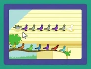 PigeonPatterns