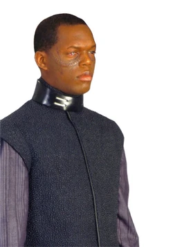 Bufon taire 2.jpg