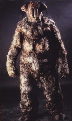 Elomrotj.jpg