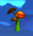 Bogblossom.jpg