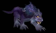NEDruidcat
