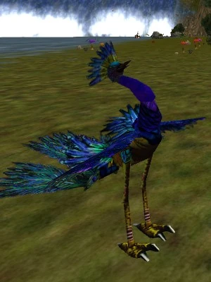 Littoral Siraluun Live