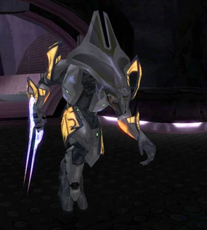 Honor Guard Councilor
