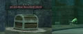 An animus haunted chest.jpg