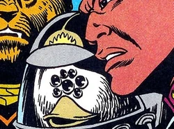 Spider Duck
