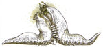 SwampSlugsPaarend