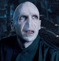 Ralph Fiennes (Lord Voldemort).jpg