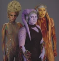 Lunae.jpg