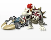 Skelebowwii