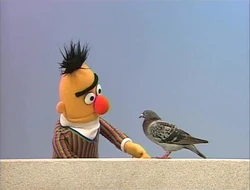 BertBernice3