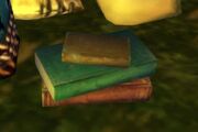 Stolen Books