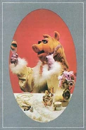 Piggy mirror