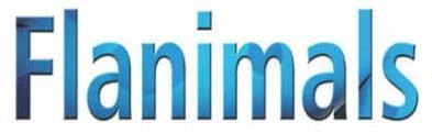 TitleTemplate.jpg
