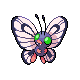 Imagen de Butterfree variocolor hembra en Pokémon Diamante y Perla