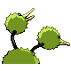 Doduo espalda G4 variocolor