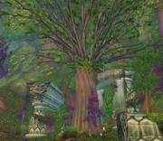 Heartswood.jpg