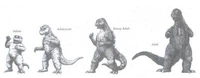 Agechart2