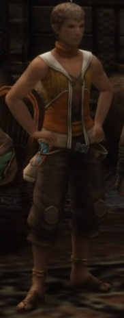 Tomaj