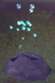 Bubbling Fissure.jpg