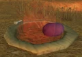 Red Raptor Nest.jpg