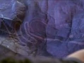 CarteVan m.jpg