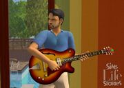Vince-guitar