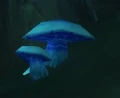 Scaber Stalk.jpg