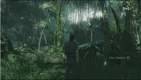 Viadomus jungle.gif