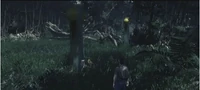 Viadomus sonarfence.gif