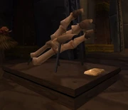 Roc Talon.jpg
