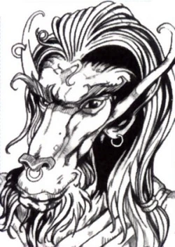 Asyr seilar.jpeg